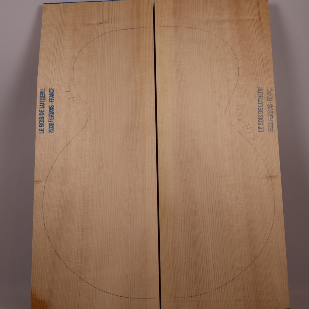 Table guitare archtop 17″ 1B – 22H164