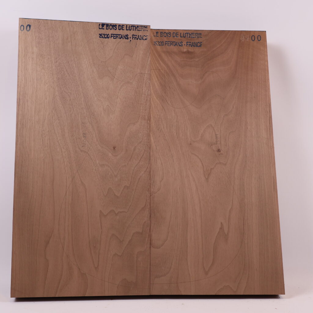 Corps guitare électrique Noyer 1A -NO22-51