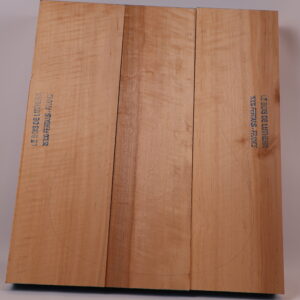 Photo produit Corps guitare électrique 3 pièces aulne 1B – 17