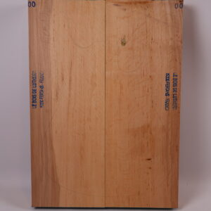 Photo produit Corps guitare électrique aulne 1A – AU23-41