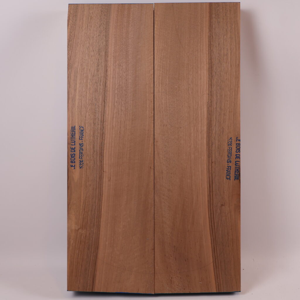 Corps guitare électrique Noyer 1B – NO22-50