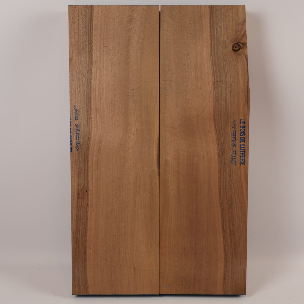 Corps guitare électrique Noyer 1B – NO22-52