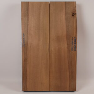 Photo produit Corps guitare électrique Noyer 1B – NO22-52