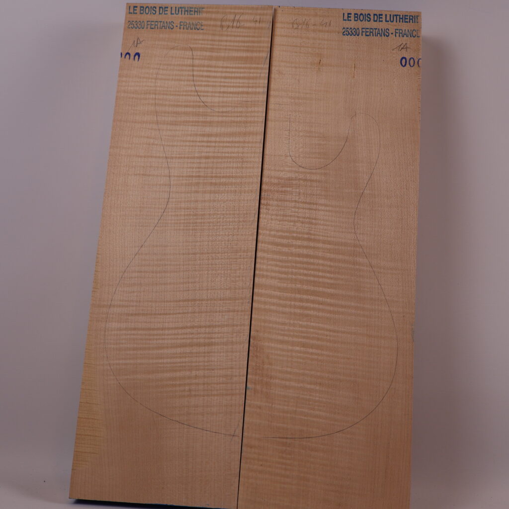 Corps guitare électrique érable 1A