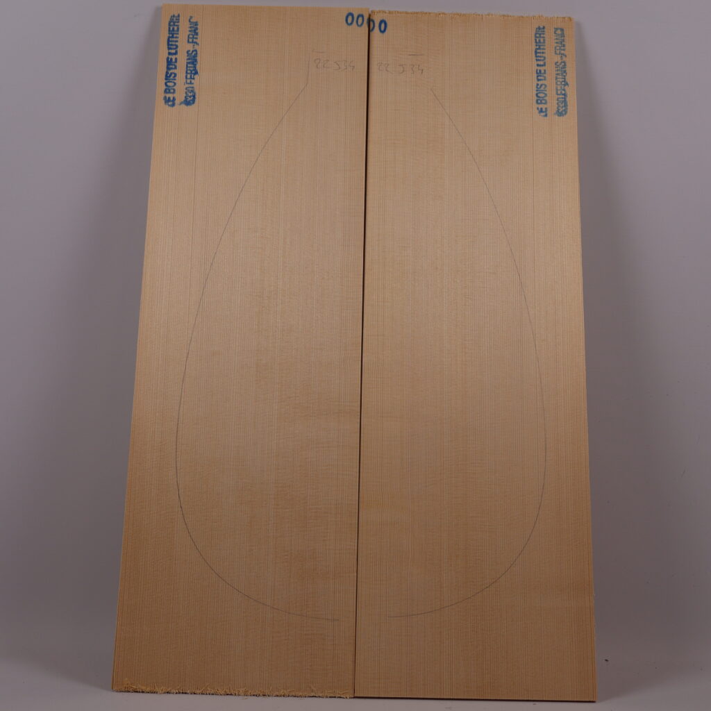 Table luth épicéa 1A 22J34