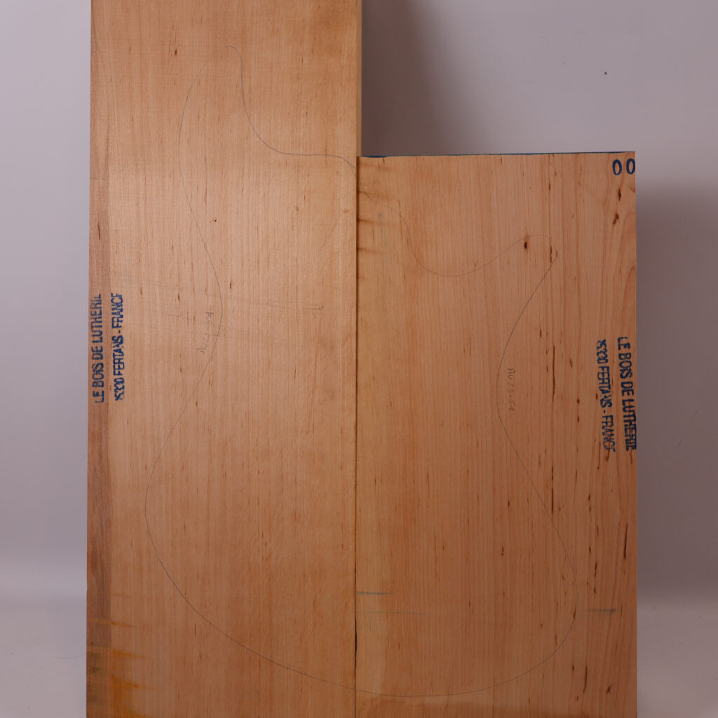 Corps basse électrique aulne 1A- AU23-51