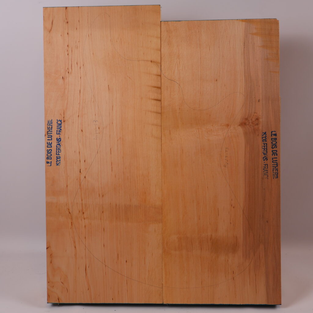 Corps basse électrique aulne 1B- AU23-53