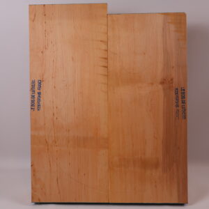 Photo produit Corps basse électrique aulne 1B- AU23-53