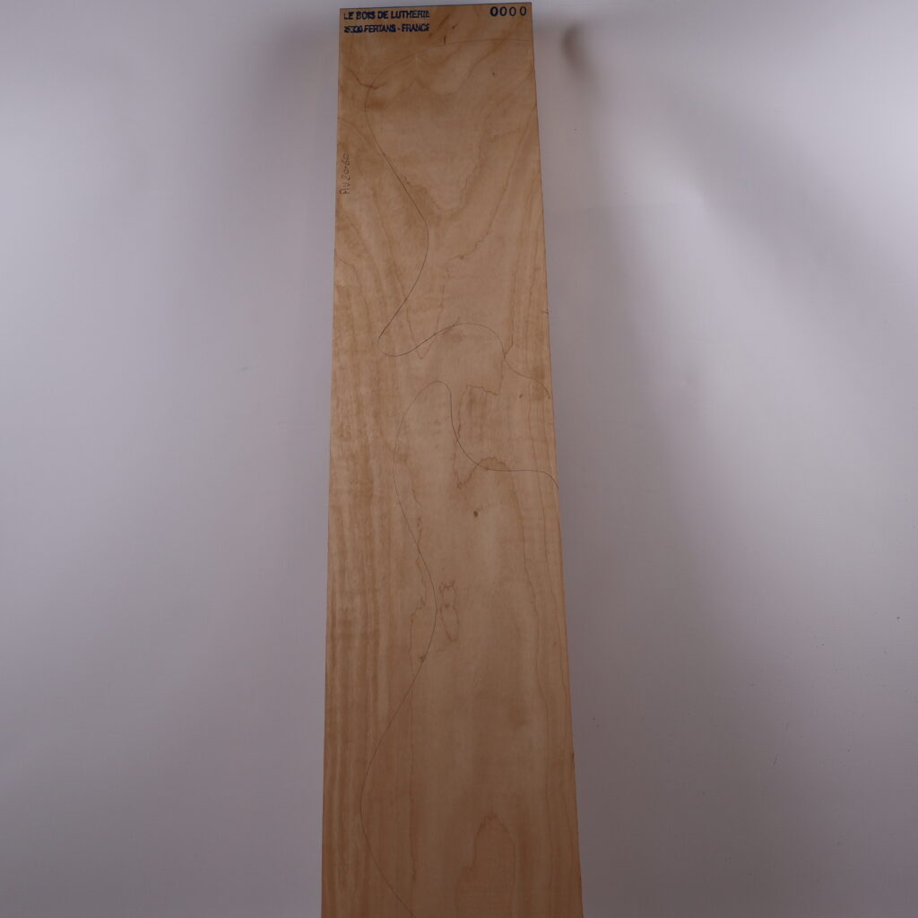 Corps basse électrique aulne 1S – AU20-60