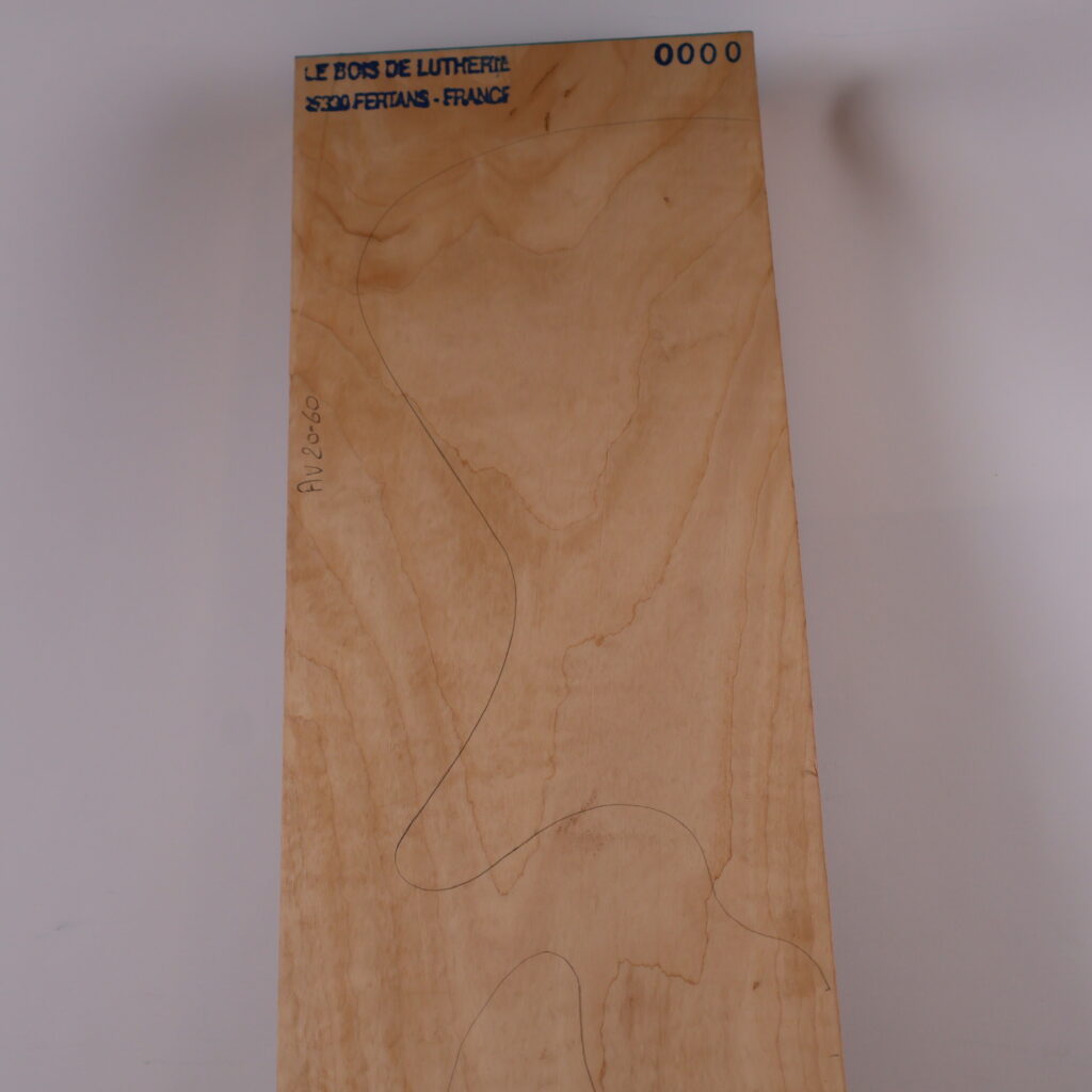 Corps basse électrique aulne 1S – AU20-60