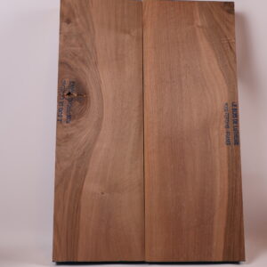 Photo produit Corps guitare électrique Noyer 1B – NO22-51