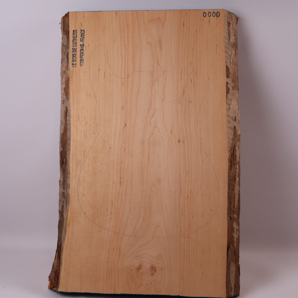 Corps guitare électrique aulne 1S – AU23