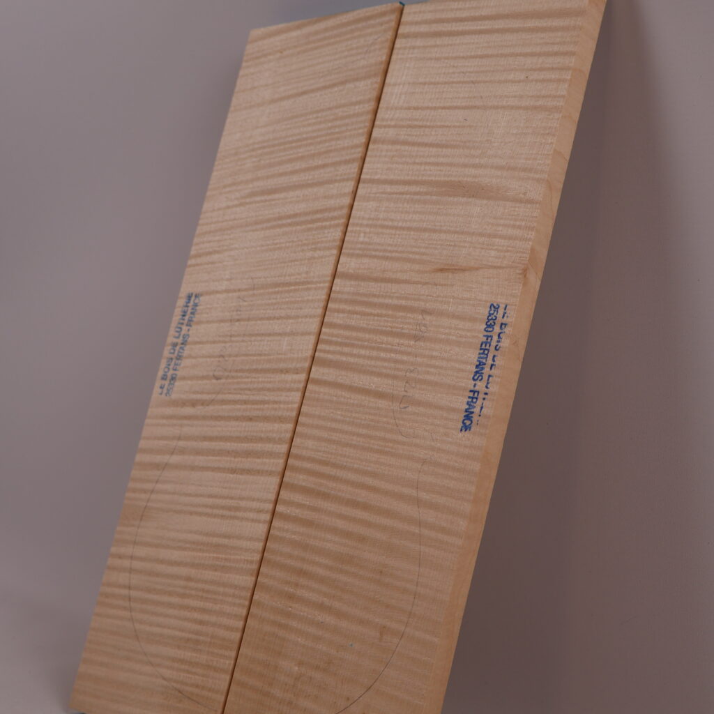 Set violon fond+manche+éclisse 1B M23-501