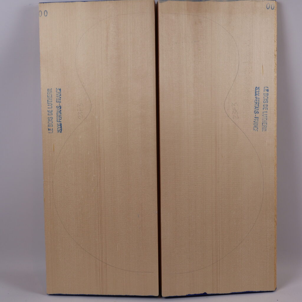 Table guitare archtop 17&Prime; 1A – 23F3