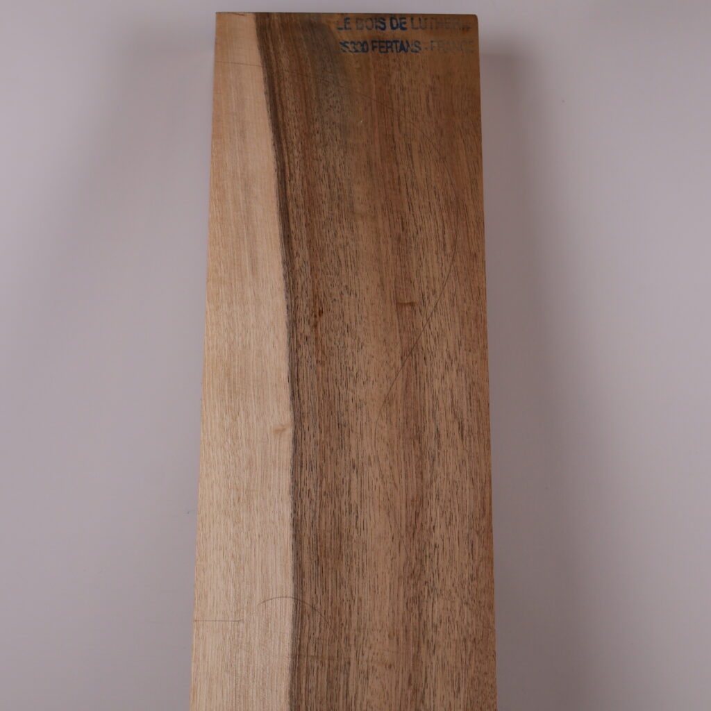 Corps guitare électrique Noyer 1B