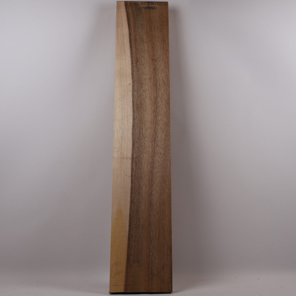 Corps guitare électrique Noyer 1B