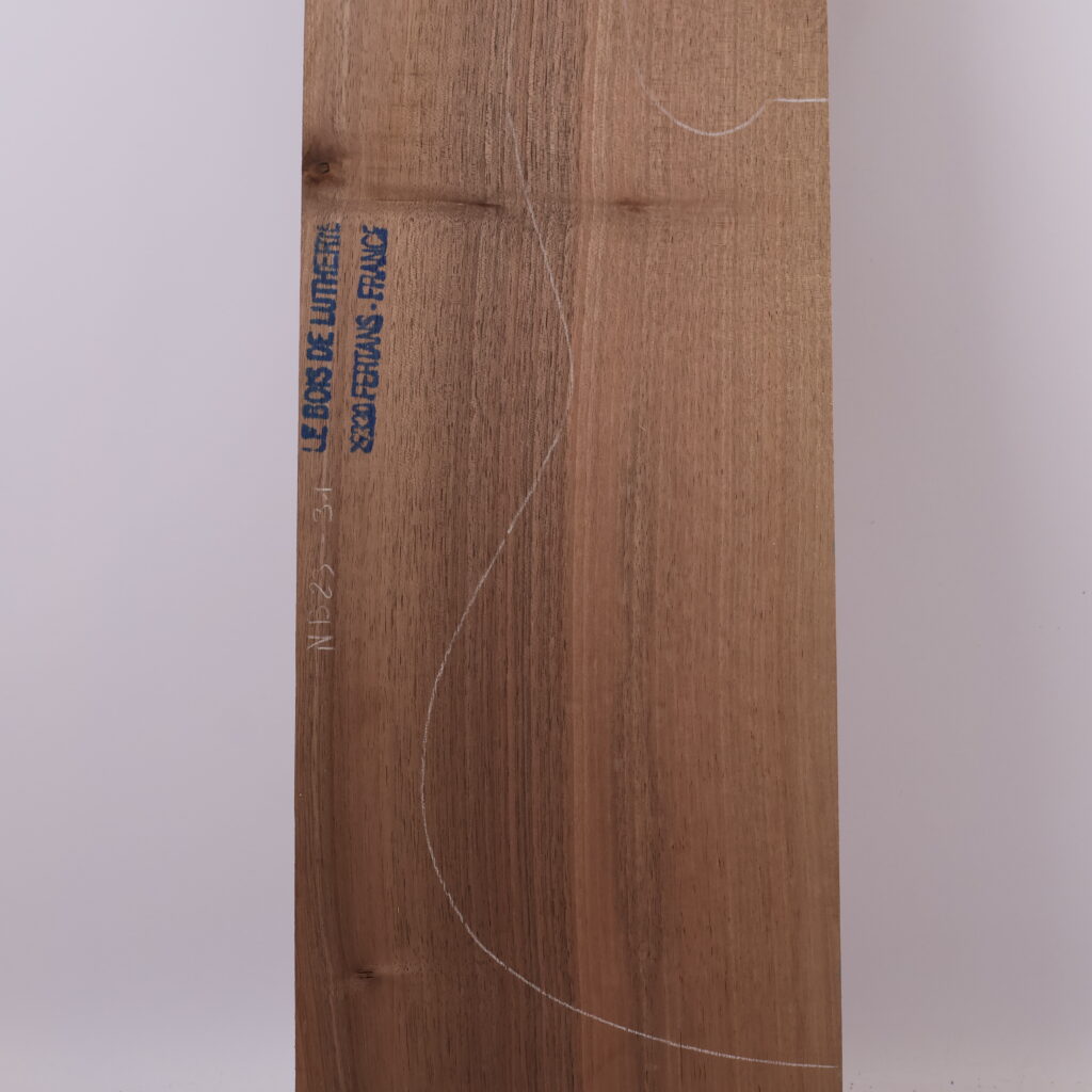 Corps guitare électrique Noyer 1B – NB23-31