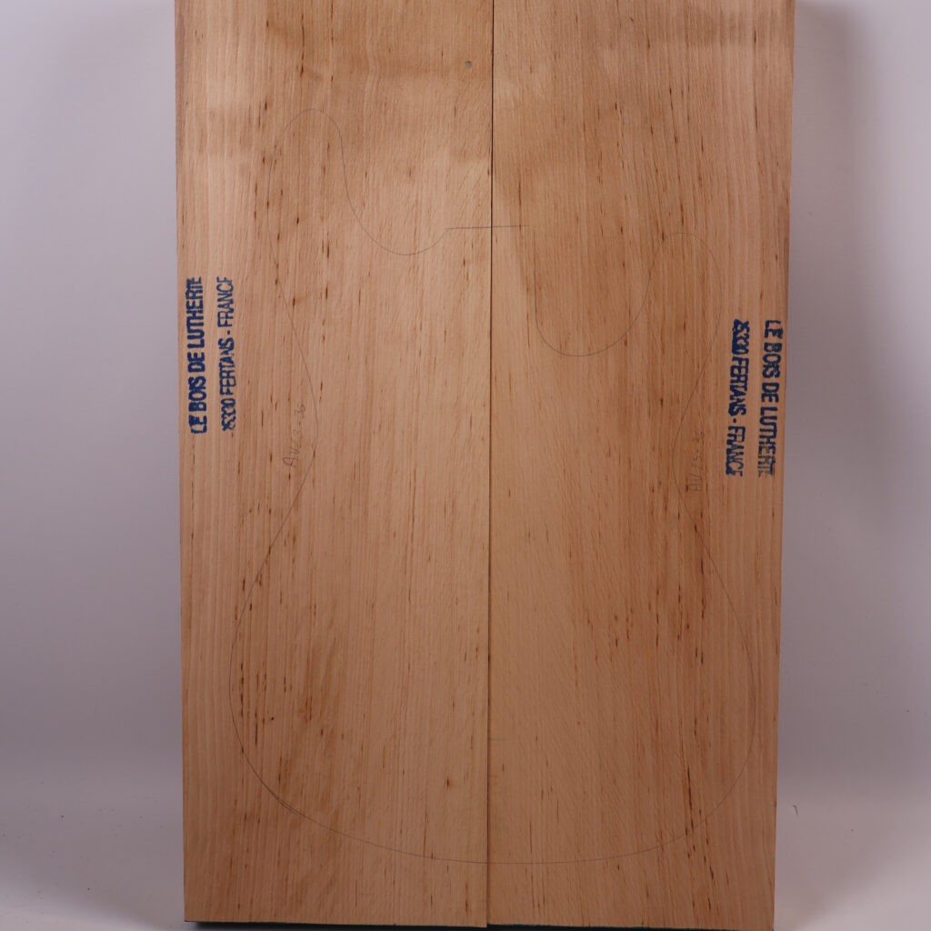 Corps guitare électrique aulne 1B – AU23-36