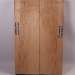 Photo produit Corps guitare électrique aulne 1B – AU23-36