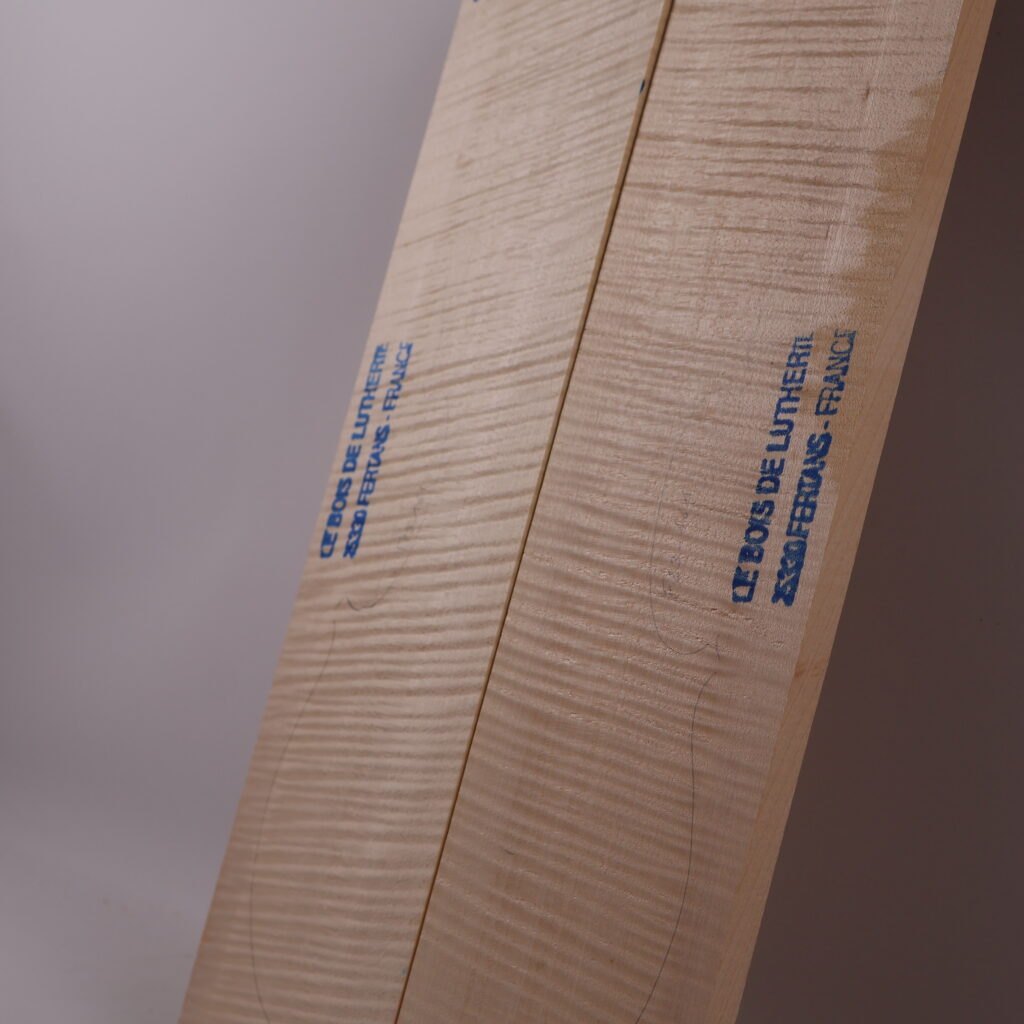 Set alto fond+manche+éclisse 1S F23-161