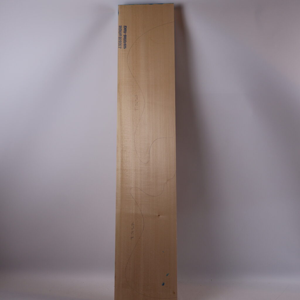 Corps guitare électrique tilleul 1B – TIL24-307