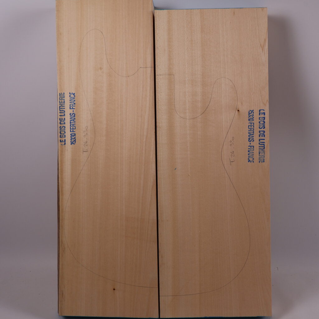 Corps basse électrique tilleul 1B – TIL24-330