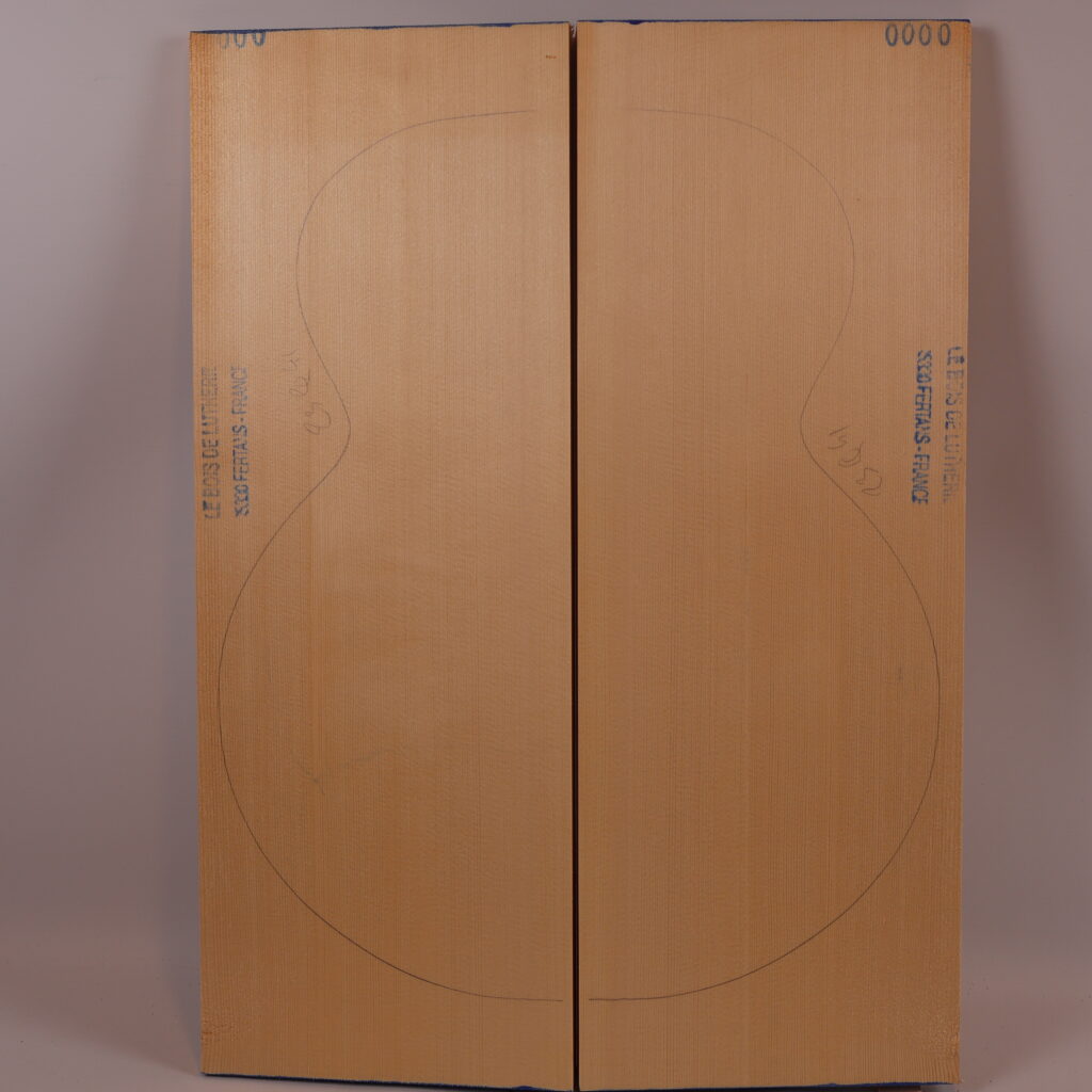 Table guitare archtop 17&Prime; 1S – 23Q41
