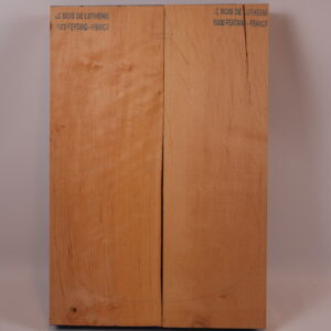 Photo produit Corps guitare électrique aulne 1B – AU03