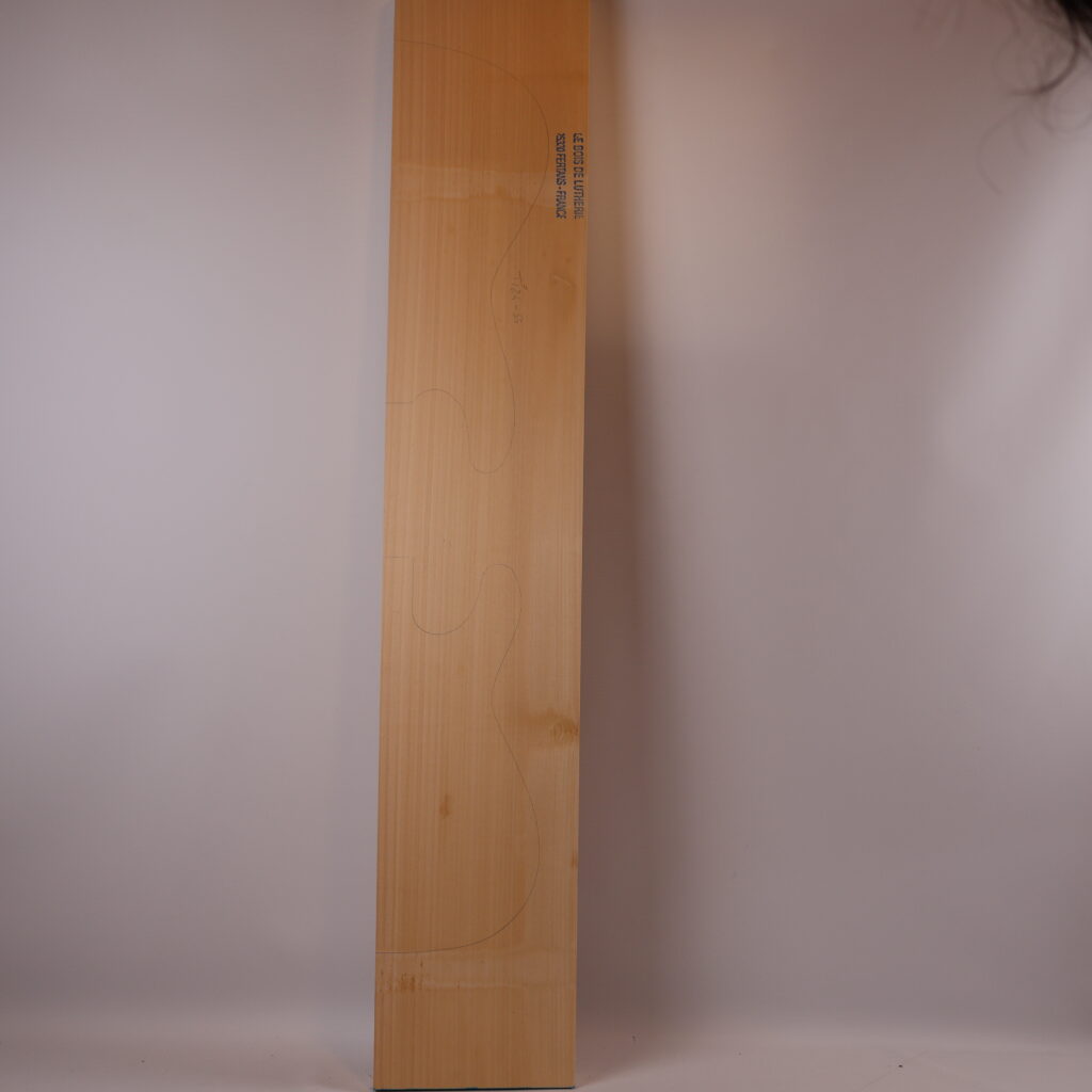 Corps guitare électrique tilleul 1B – TIL24-55
