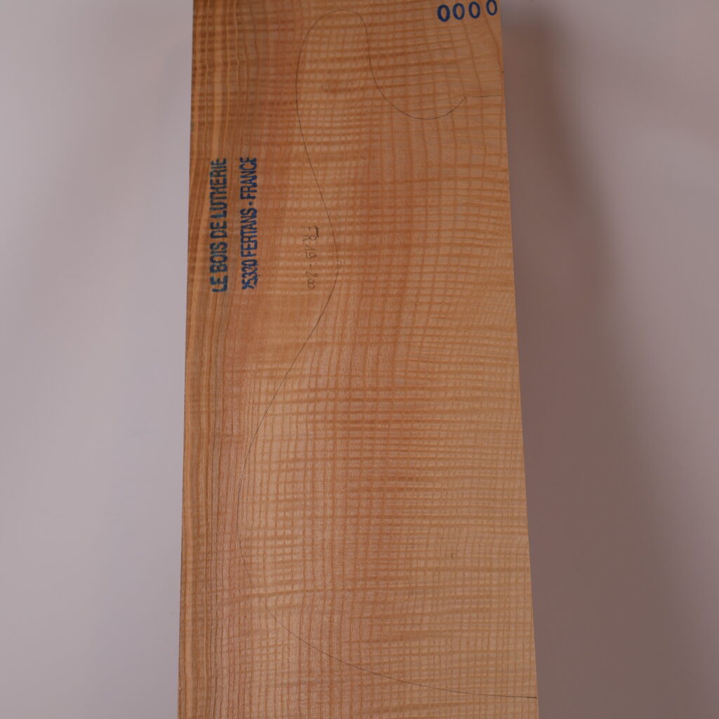 Corps guitare électrique frêne olivier ondé S – FR19-200