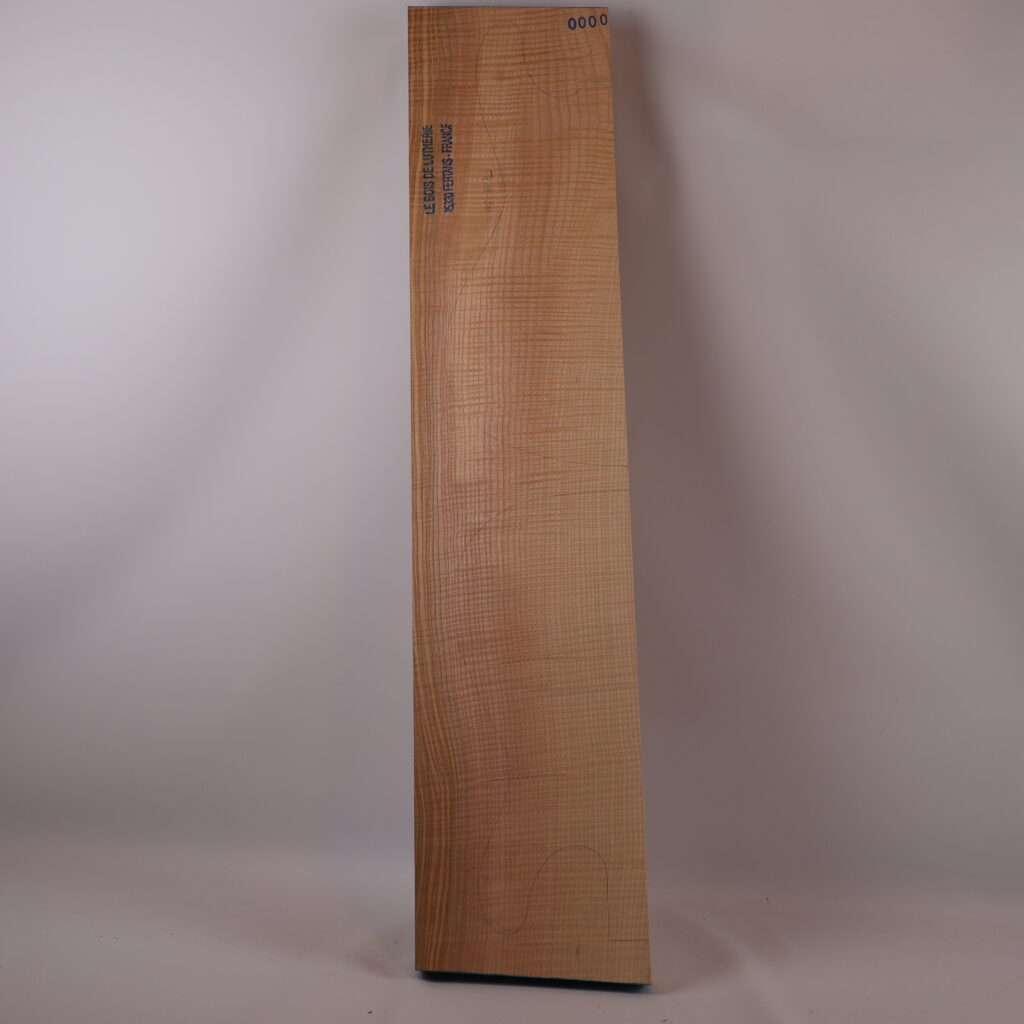 Corps guitare électrique frêne olivier ondé S – FR19-200