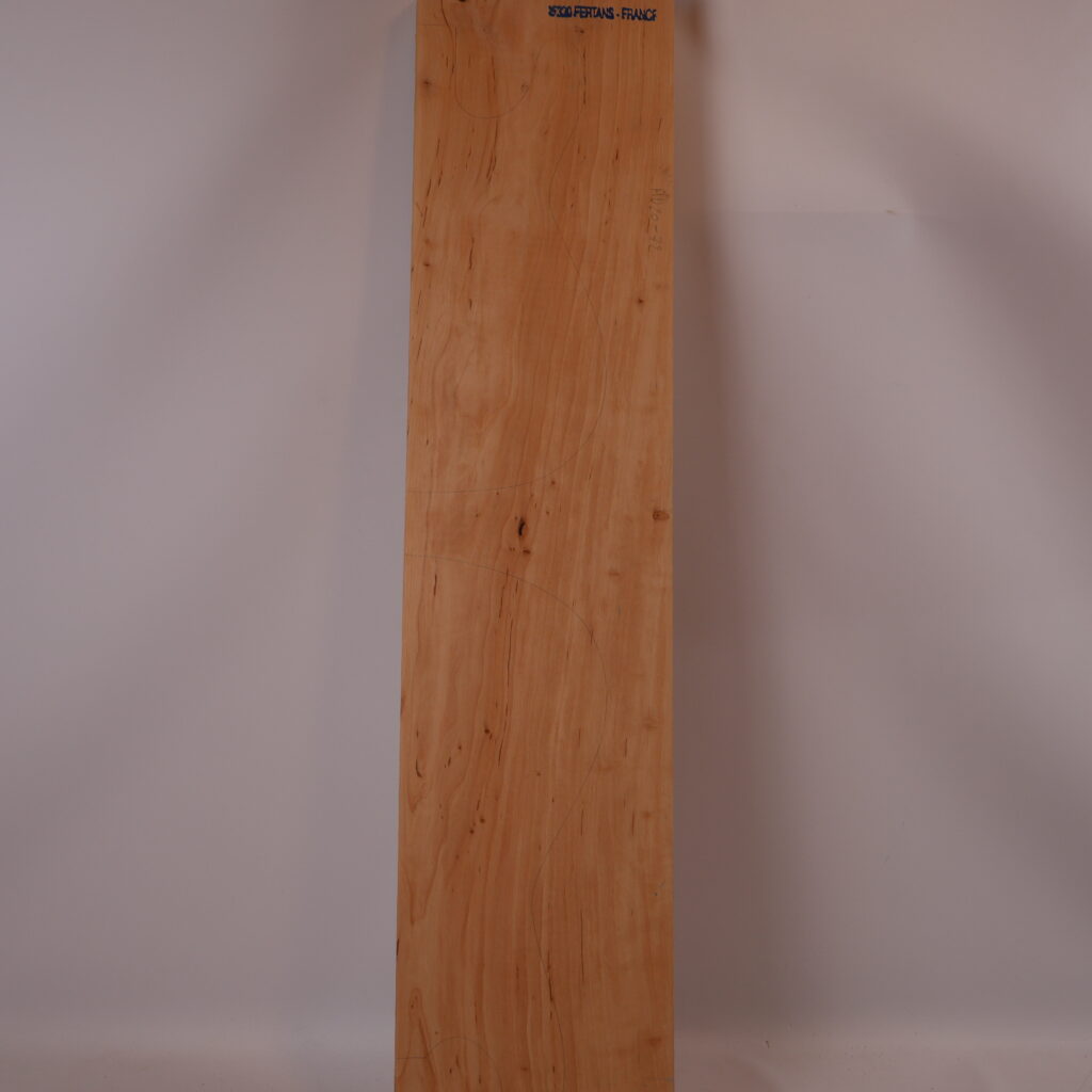 Corps guitare électrique aulne 1B – AU20-72