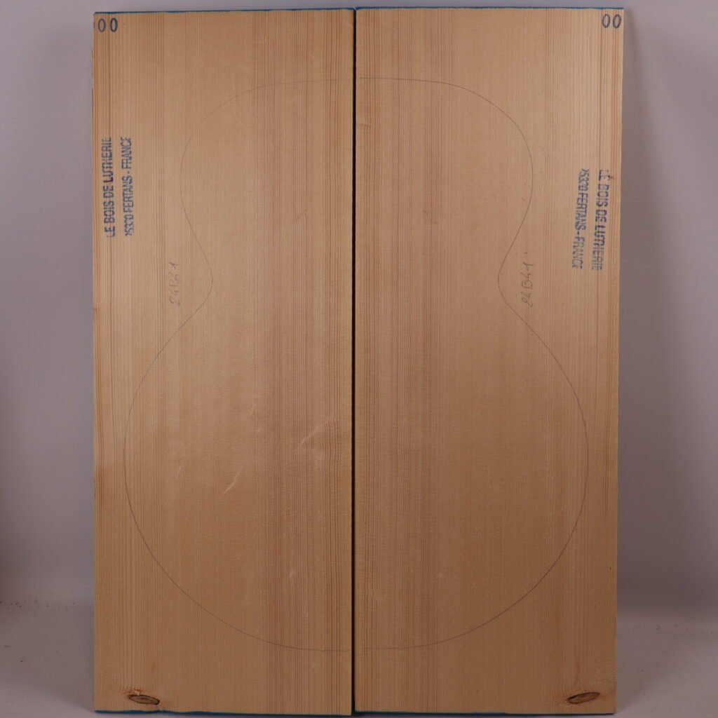 Table guitare archtop 17&Prime; 1A – 24B41